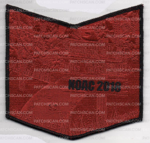 Patch Scan of PACHACHAUG METALLIC POCKET