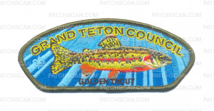 Patch Scan of Golden Trout CSP