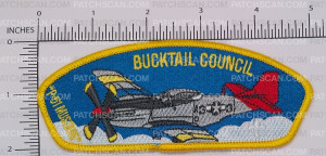 Patch Scan of BTC Mustang