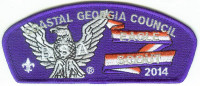 LR 2007A - Eagle Scout Coastal Georgia Council