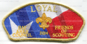 Patch Scan of 32485 - Loyal 2013 CSP