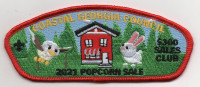 300 CLUB POPCORN CSP CGC Coastal Georgia Council