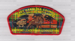 Patch Scan of Woodbadge NST15-426-22