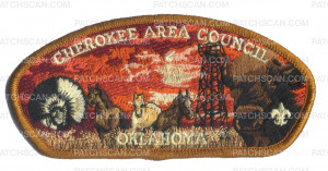 Patch Scan of Cherokee Area Council Oklahoma CSP