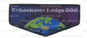 Patch Scan of special needs camporee