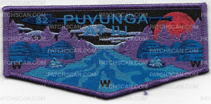 Patch Scan of Puvunga pocket flap
