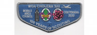100th Anniversary Flap (PO 89381) Mobile Area Council #4