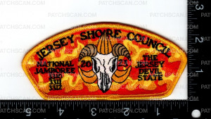 Patch Scan of 162222-Gold