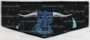 Patch Scan of 95TH ANNIVERSARY FLAP