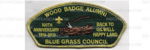 Patch Scan of Wood Badge 100th Anniversary CSP (PO 88525)