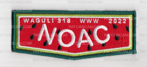 Patch Scan of Waguli 318 NOAC Watermelon Flap