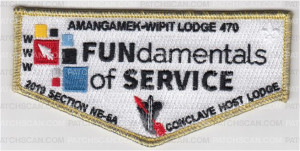 Patch Scan of Fundamentals of Service OA Flap Gold 