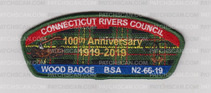 Patch Scan of Wood Badge N2-66-19