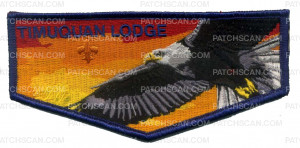 Patch Scan of Timuquan Lodge flap (34249)