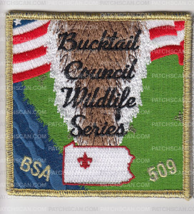 Patch Scan of Wildlife 2020-2023 FOS Square - Gold