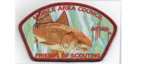 Mobile Area 2016 FOS CSP (84896 v-3)Untitled Mobile Area Council #4