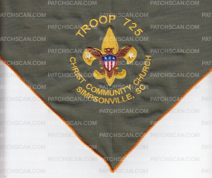 Patch Scan of Troop 725 Neckerchief 