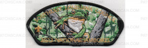 Patch Scan of 2023 National Jamboree CSP Tree Frog (PO 101167)