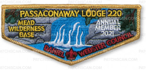 Patch Scan of P24668_E Annual Member Patches