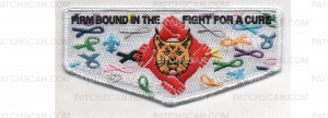 Patch Scan of Fight for a Cure Flap (PO 100612)