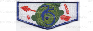 Patch Scan of 75th Anniversary Flap (PO 86410)