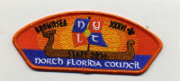 nfc nylt csp North Florida Council