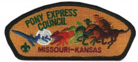 PONY EXPRESS COUNCIL CSP Pony Express Council #311