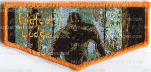 Patch Scan of GEC 2018 lodge flap