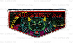 Patch Scan of Achpateuny 803 Flap Silver Metallic Border