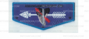 Patch Scan of N.C.A.C. NOAC flap (blue border)