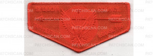Patch Scan of Cancer Awareness Flap (PO 101300)