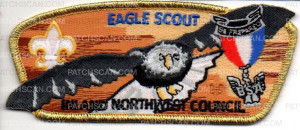 Patch Scan of Eagle Inland Northwest Council 2018