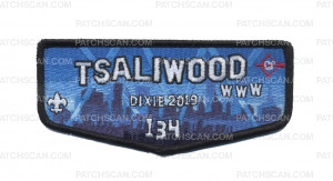Patch Scan of DBC - Tasliwood Dixie 2019 Flap
