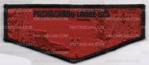 Patch Scan of PACHACHAUG METALLIC FLAP