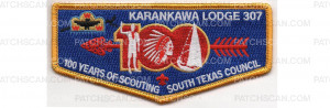 Patch Scan of 100 Years of Scouting Flap (PO 88161)