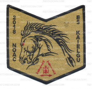Patch Scan of ES Kaielgu 2018 NOAC Pocket Patch Gold Metallic Background