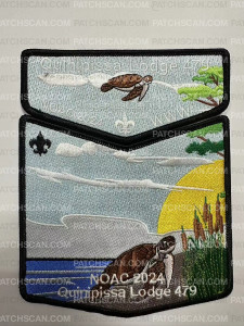 Patch Scan of 172690-Logger Head Turtles Black Flap