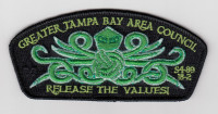 Greater Tampa Bay Area Council Release The Values Greater Tampa Bay Area Council