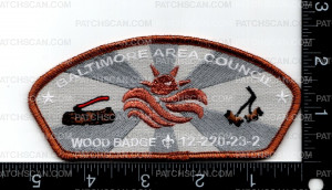 Patch Scan of 163297-2 Bead