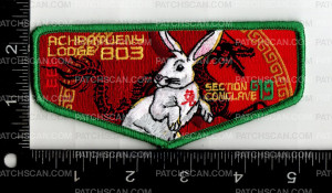 Patch Scan of 161545-Green 