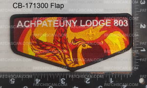 Patch Scan of 171300-Flap