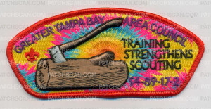 Patch Scan of Greater Tampa Bay Area Training Strengthens Scouting