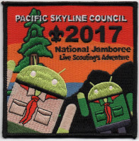PSC CENTER Pacific Skyline Council #31
