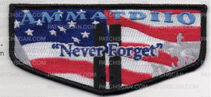 Patch Scan of NEVER FORGET FLAP