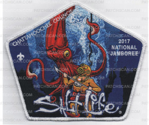 Patch Scan of 2017 National Jamboree Back Patch (PO 86301)