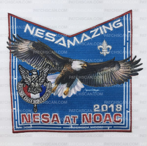 Patch Scan of NESA AT NOAC 2018 PP