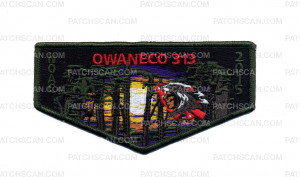 Patch Scan of Owaneco 313 NOAC Set (Flap - Green)