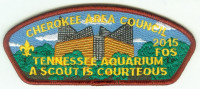 FOS 2015 - A Scout is Courteous (Tennessee Aquarium) Cherokee Area Council