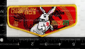 Patch Scan of 163372- Yellow 