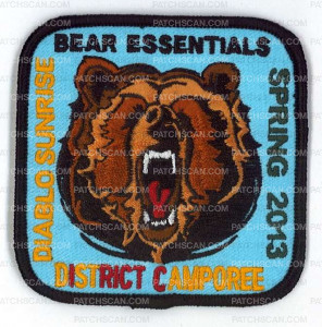 Patch Scan of X164689A BEAR ESSENTIALS DISTRICT CAMPOREE 